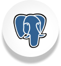 postgreSQL icon