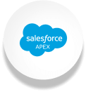 Salesforce Apex